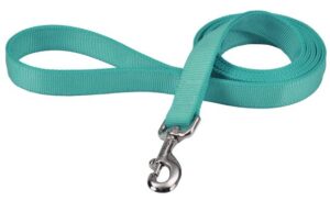 DBL PLY DOG LEASH 4FT TEAL
