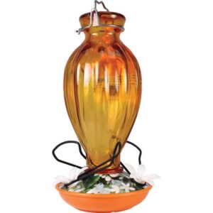 ORIOLE FDR GLASS 20OZ