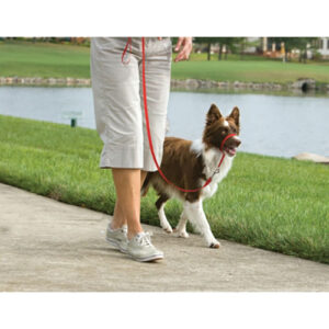 GENTLE LEADER COLLAR MD RED