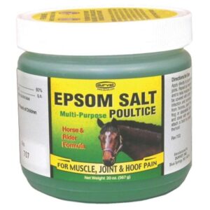 EPSOM SALT POULTICE 20OZ