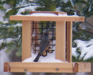 SMALL WHOLE PEANUT FEEDER