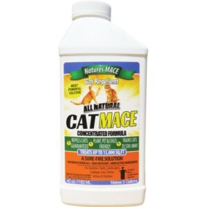 NM CAT MACE CONC 40 OZ