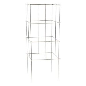 A FRAME TRELLIS RED & GREEN