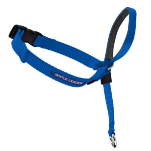 GENTLE LEADER COLLAR LG BLUE