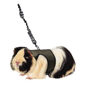 HARNESS/STRETCHY LEASH LRG