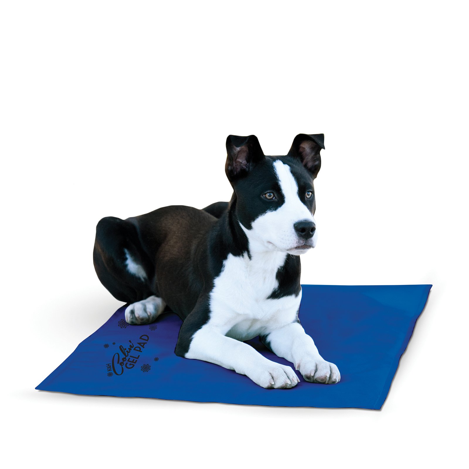K&H COOLIN' PET PAD LG BLUE