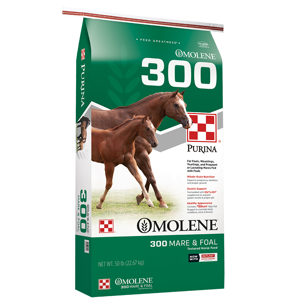 OMOLENE 300 16:6 50LB