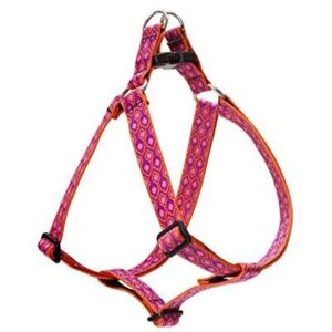 1" ALPEN GLOW 24-38 STEP IN HRNS