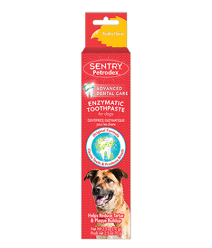 TOOTHPASTE POLT FLAV 2.5OZ