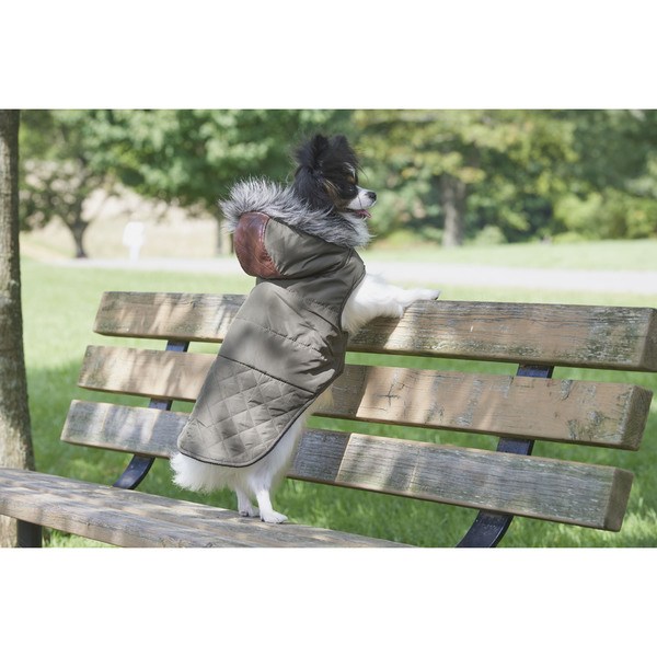 DOG COAT LTHR OLIVE XS
