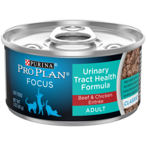 PP FOCUS UTH BF/CKN CAT 3OZ