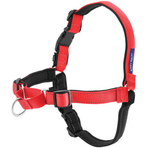 EASY WALK HARNESS MD/LG R/B