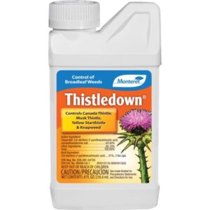 THISTLE DOWN 8OZ