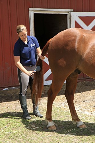 OSTER EQUINE GROOMING KIT - Image 4