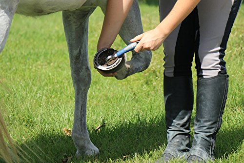 OSTER EQUINE GROOMING KIT - Image 5