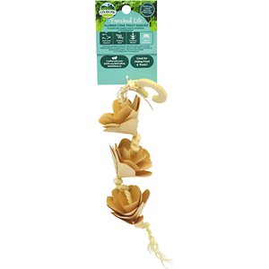OXBOW FLOWER CONE TREAT HNGR