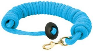 LUNGE LINE W 3/4"X25FT BLUE