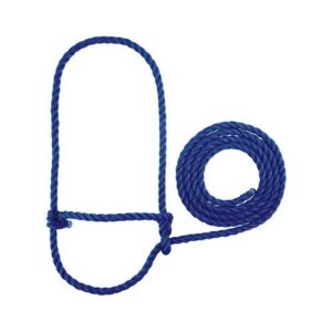 COW HALTER POLY BLUE