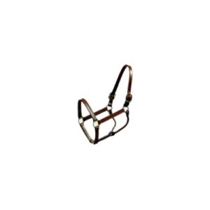 HALTER BEILERS LEATHER THOROUGHB