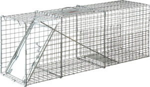 SINGLE DR LIVE TRAP 32X10X12