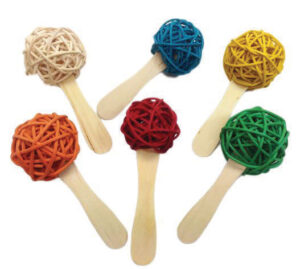 A&E POPSICLE 6PK BIRD TOY