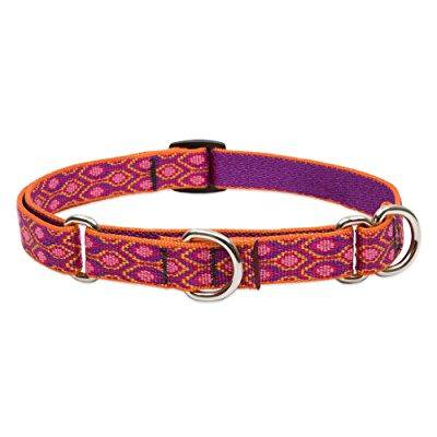 MARTINGALE 3/4" ALP GL 14-20