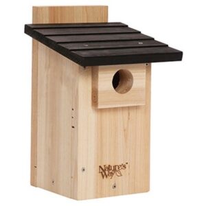 BLUEBIRD HOUSE W/ WINDOW 12X7X8