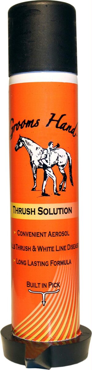 GROOMS HAND THRUSH SOLTN 4OZ