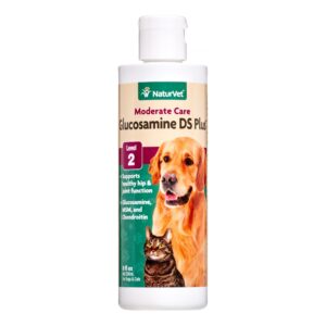 GLUCOSAMINE DS PLUS 8OZ