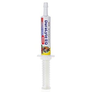 DURALYTE EQ MAX PASTE 30GM