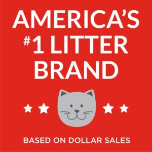 TIDY CAT INSTANT ACTION 10LB