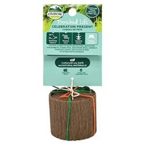 OXBOW PRESENT SM ANIMAL TOY