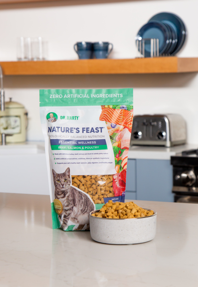 DR MARTY CAT BF/SL/PLT 5.5OZ