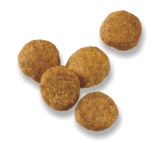 PP DOG FOCUS PUPPY LAMB/RC 34# - Image 3