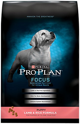 PP DOG FOCUS PUPPY LAMB/RC 34# - Image 5