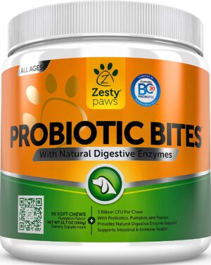 PROBIOTIC BITES PUMPKIN 90CT
