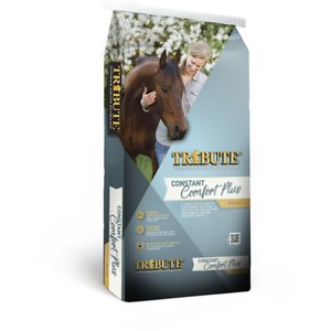 TRIBUTE CONSTANT COMFT PLUS 40#