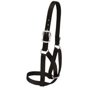 COW BARN HALTER NYLON ASST