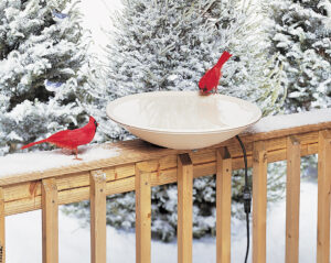 HEATED BIRD BATH DECK 20 IN 150