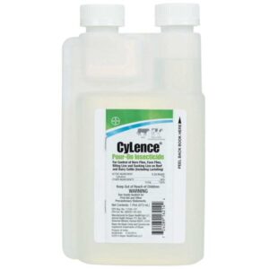 CYLENCE PINT