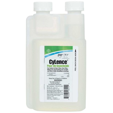 CYLENCE PINT