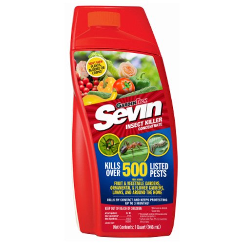 SEVIN INSECT KILLER CON 32OZ