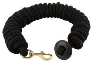 LUNGE LINE W 3/4"X25FT BLACK