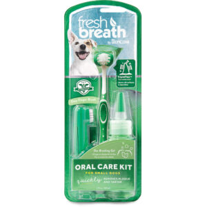 FB ORAL CARE KIT SMALL 12