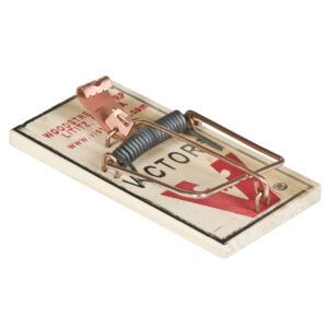 MOUSE TRAP WOODEN 2PK