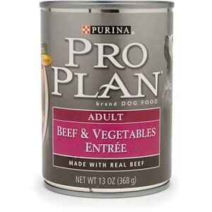 PP SAVOR BF/VEG DOG 13OZ