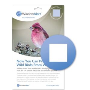 WINDOWALERT DECALS ASST