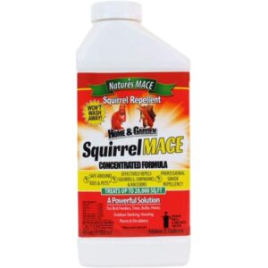 NM SQUIRREL MACE CONC 40 OZ