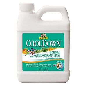 ABSORBINE COOLDOWN 32OZ