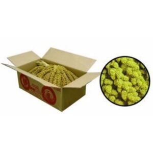 MILLET SPRAY  5LB